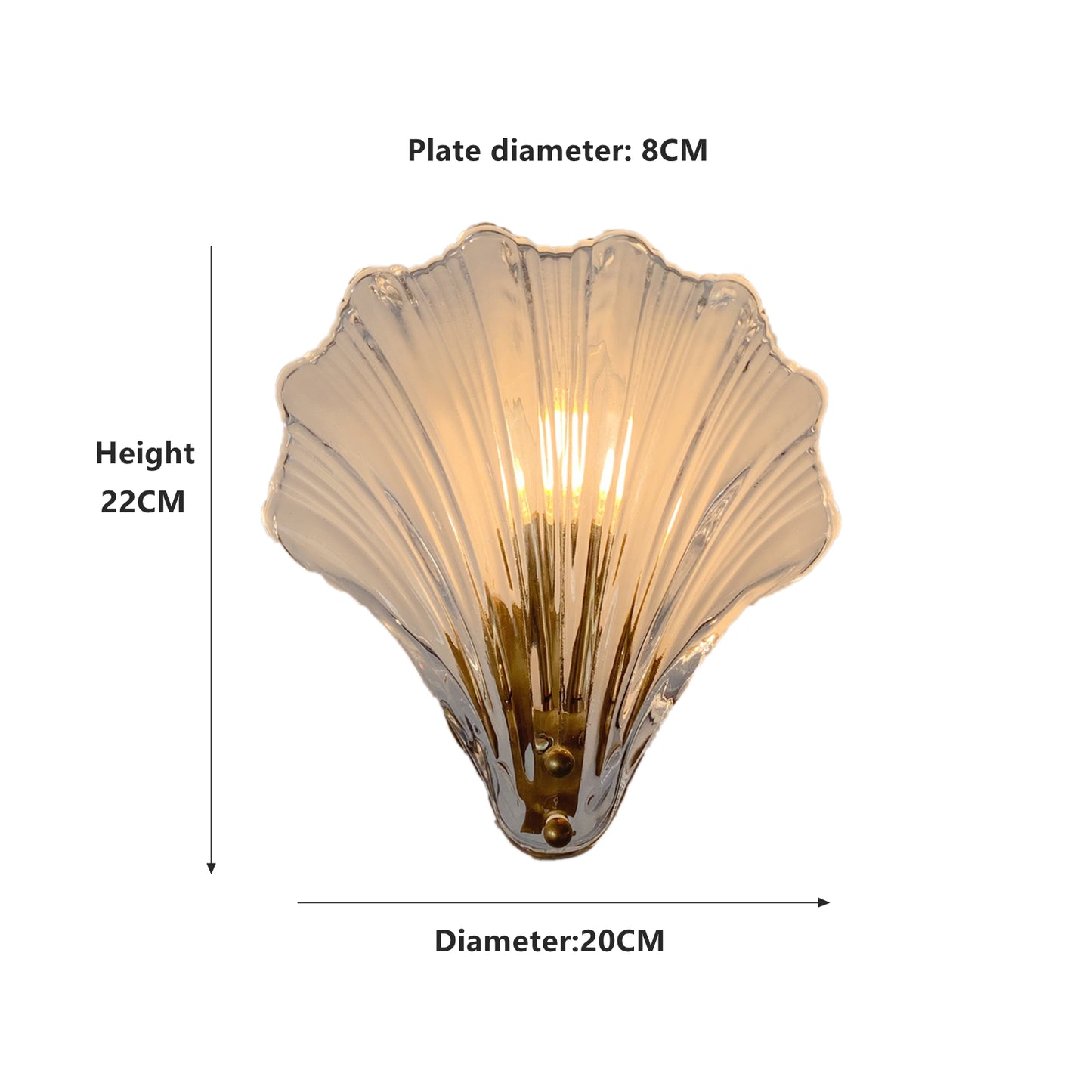 Shell-shaped wall light with dimensions