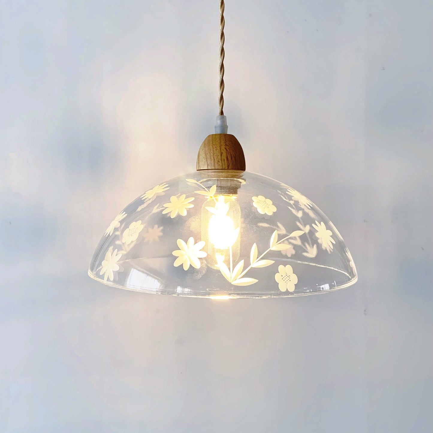 Transparent glass hanging light close up showing brass finish and clean design