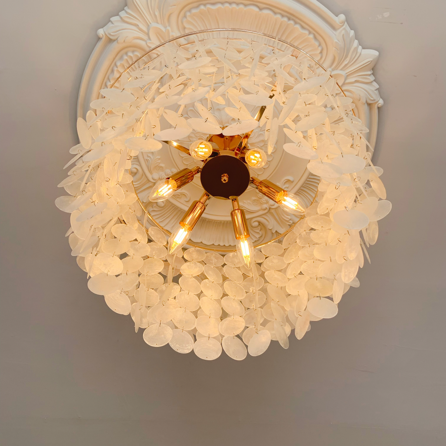 6-Light Blue Shell Chandelier