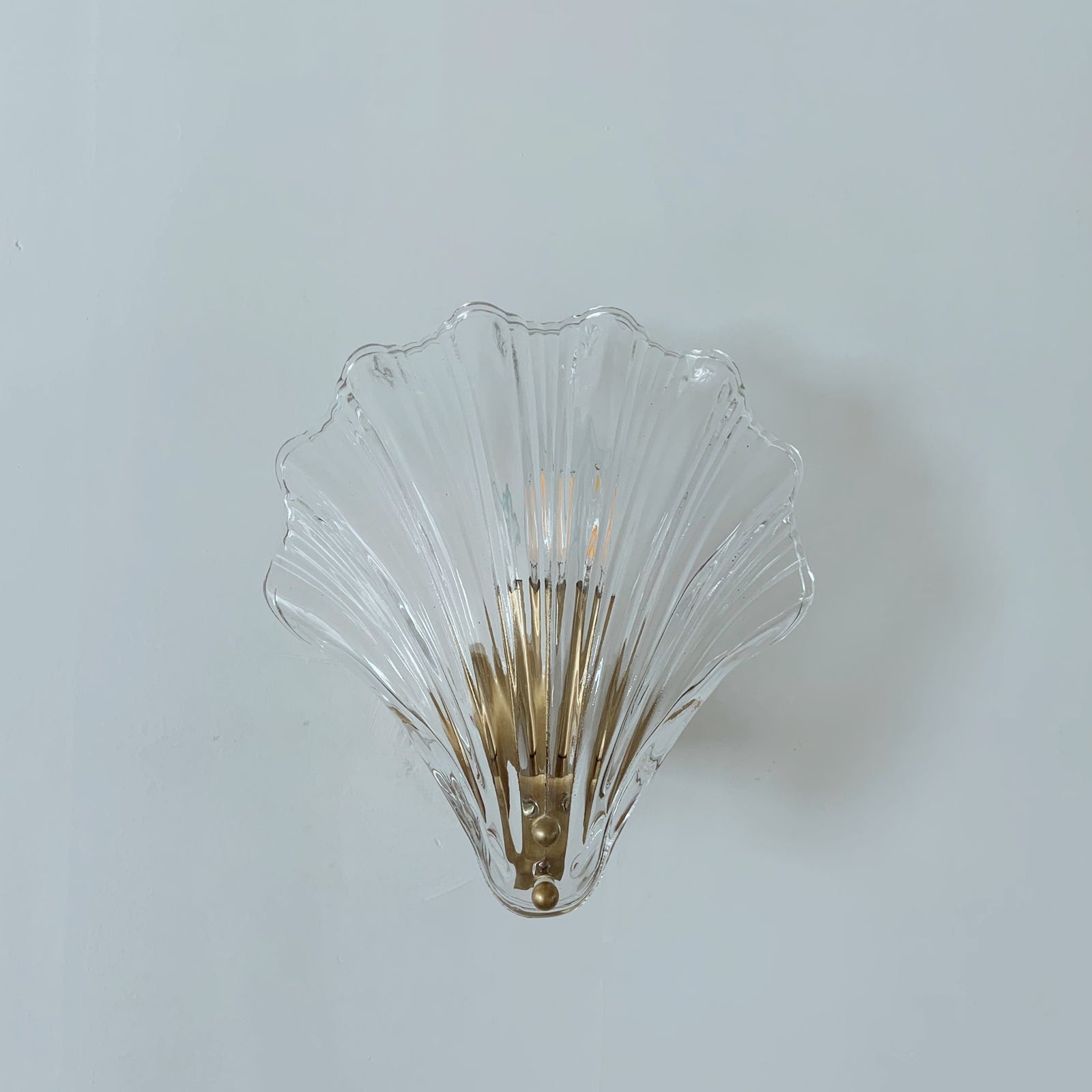 Clear glass shell wall sconce with brass finish - transparent coastal wall light front view
