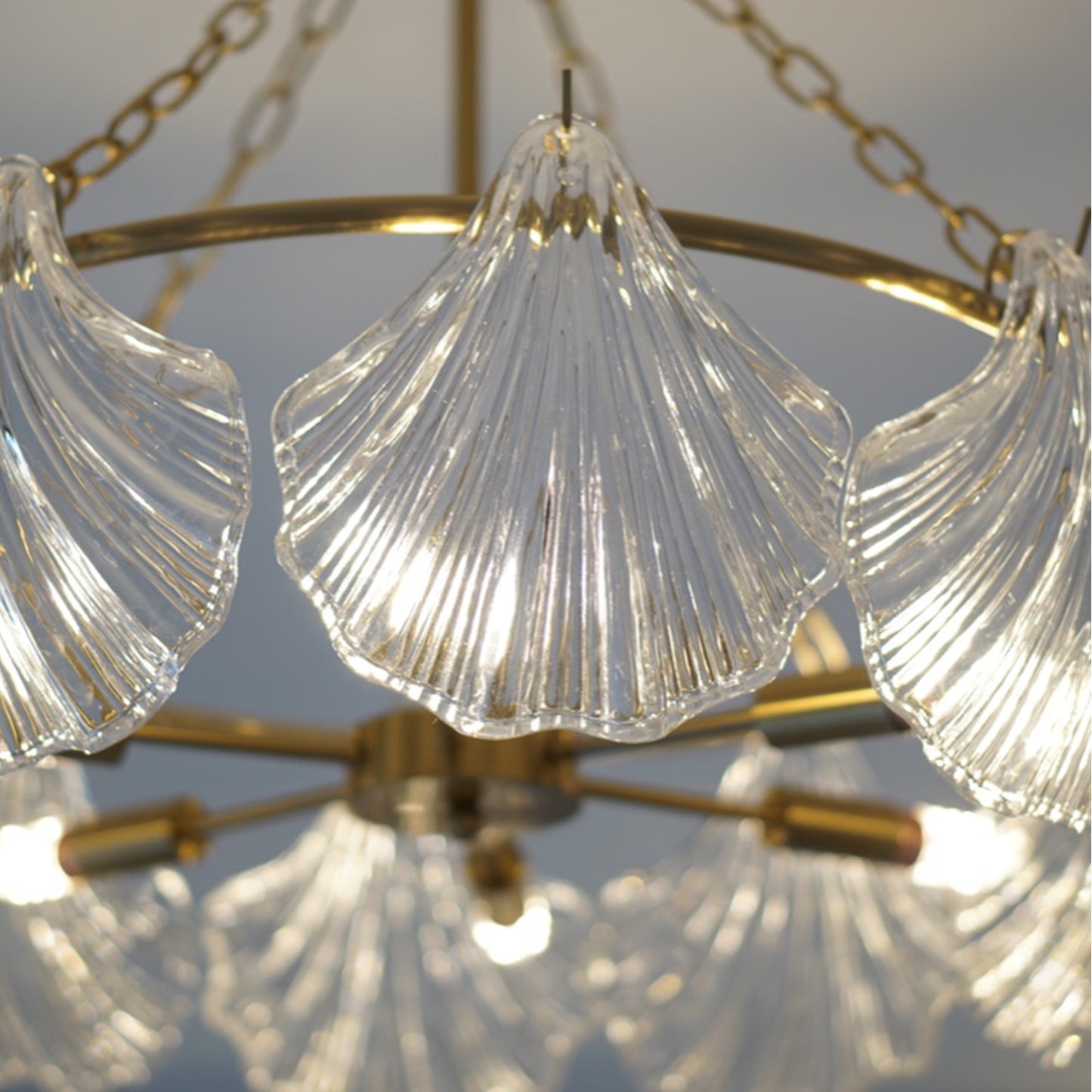 Chandelier with clear shell-shaped glass shades and gold metal fixtures.