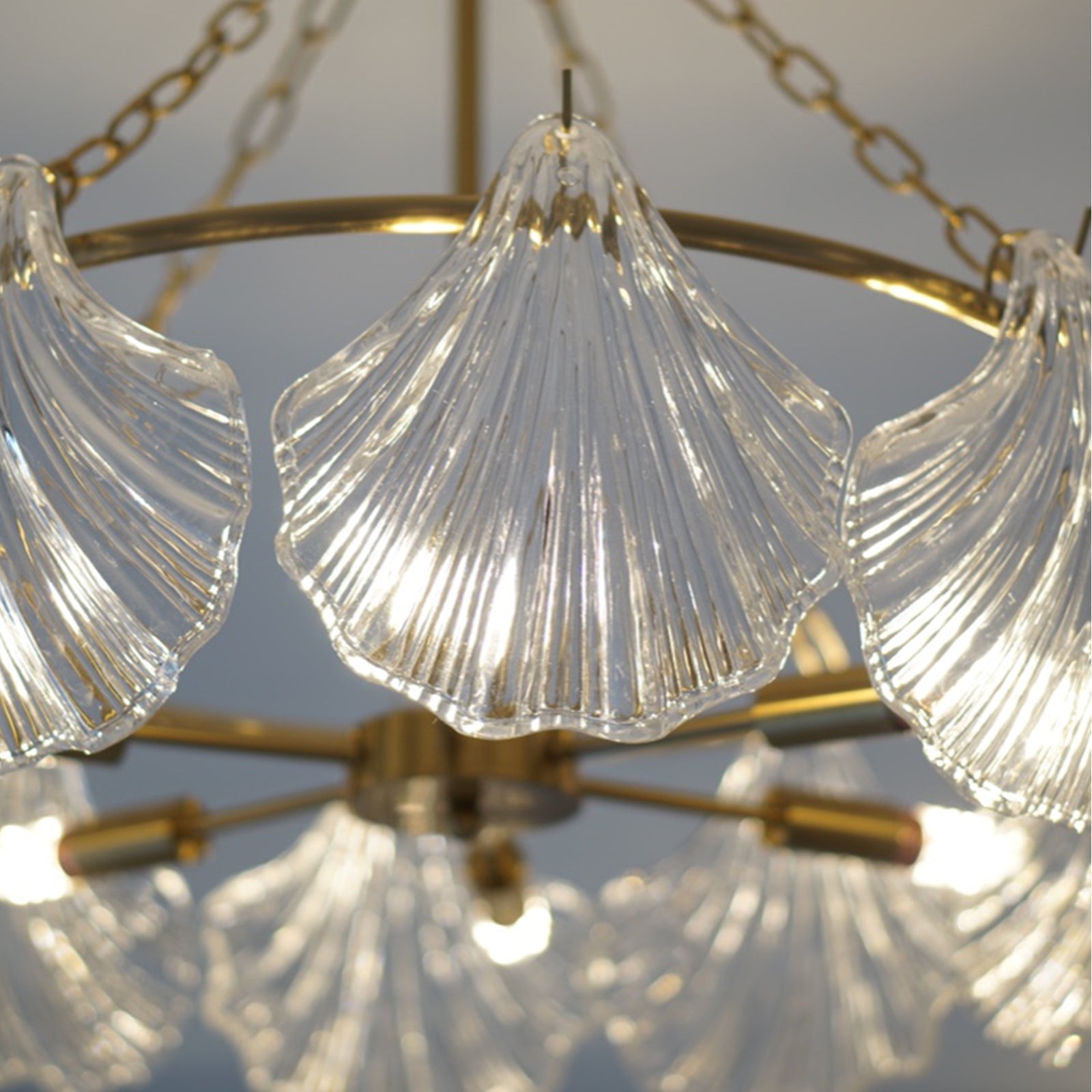 Chandelier with clear shell-shaped glass shades and gold metal fixtures.