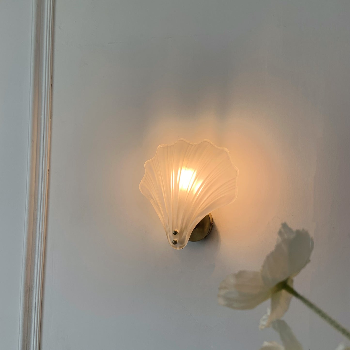 Shell-shaped wall light fixture on a white wall with a soft glow.